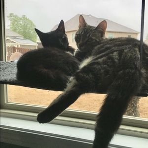 Meet your Posher, Bryan